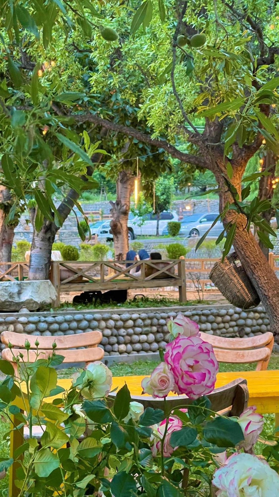 Dumani Nagar Hotel & Resort Karimabad  エクステリア 写真