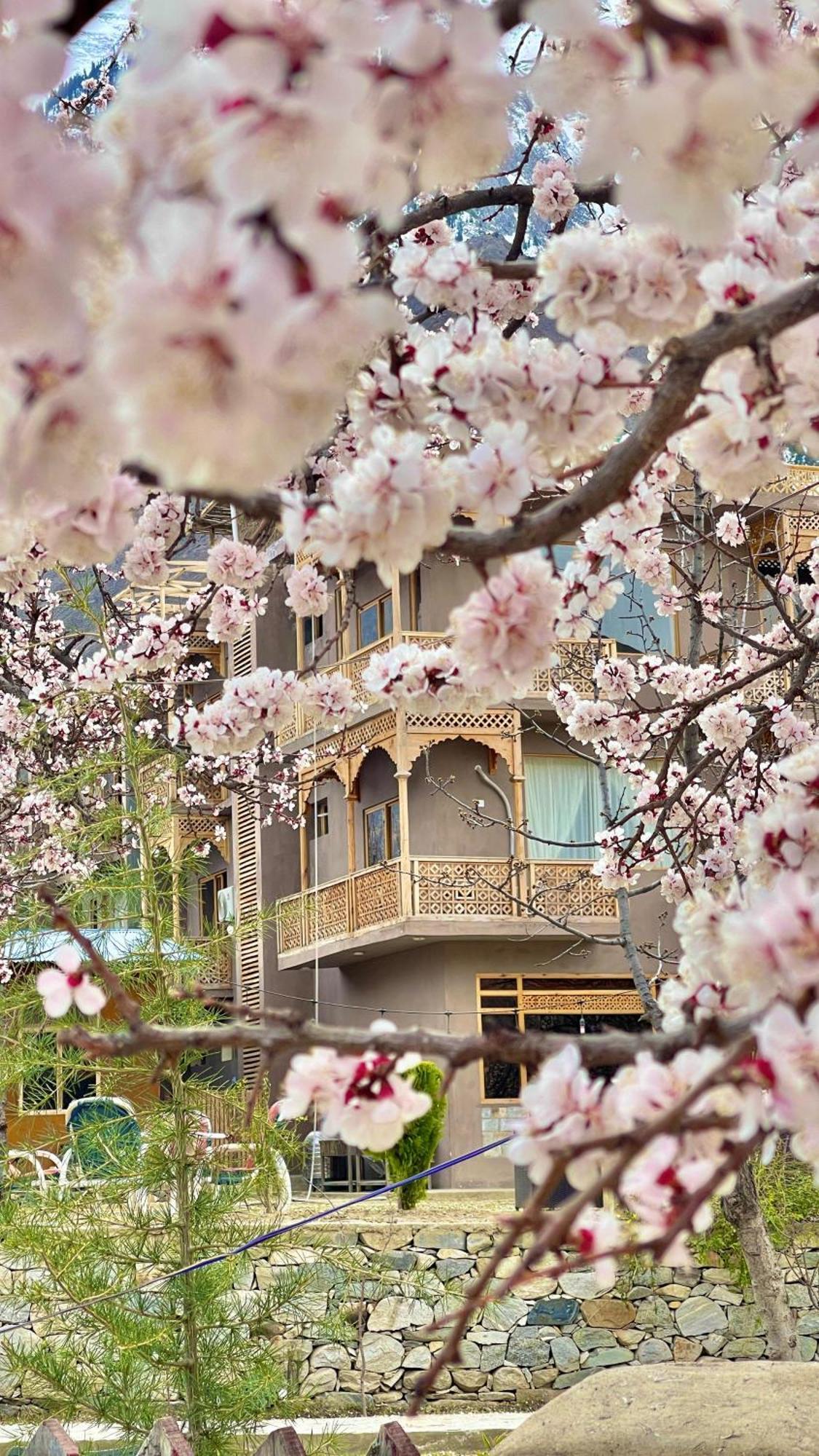 Dumani Nagar Hotel & Resort Karimabad  エクステリア 写真