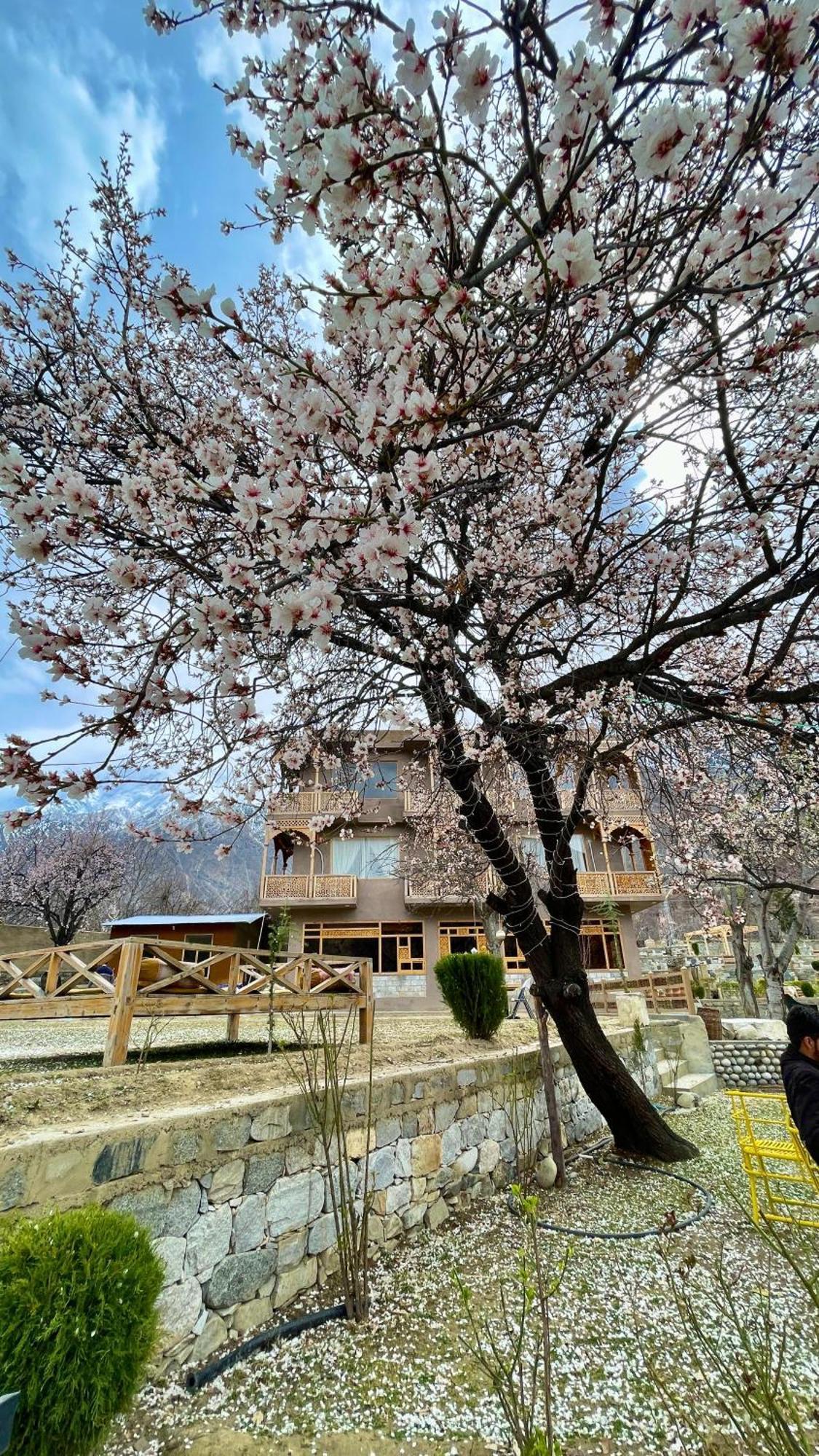 Dumani Nagar Hotel & Resort Karimabad  エクステリア 写真