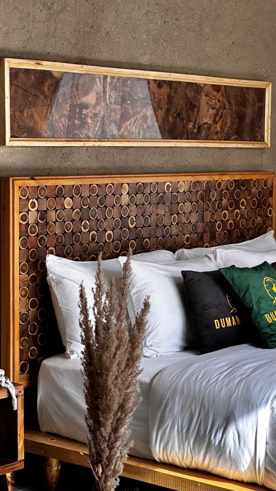 Dumani Nagar Hotel & Resort Karimabad  エクステリア 写真